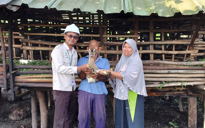 Apical Dumai Jalankan Program Budidaya Kambing Serta Pelatihan Bisnis untuk Kelompok Tani