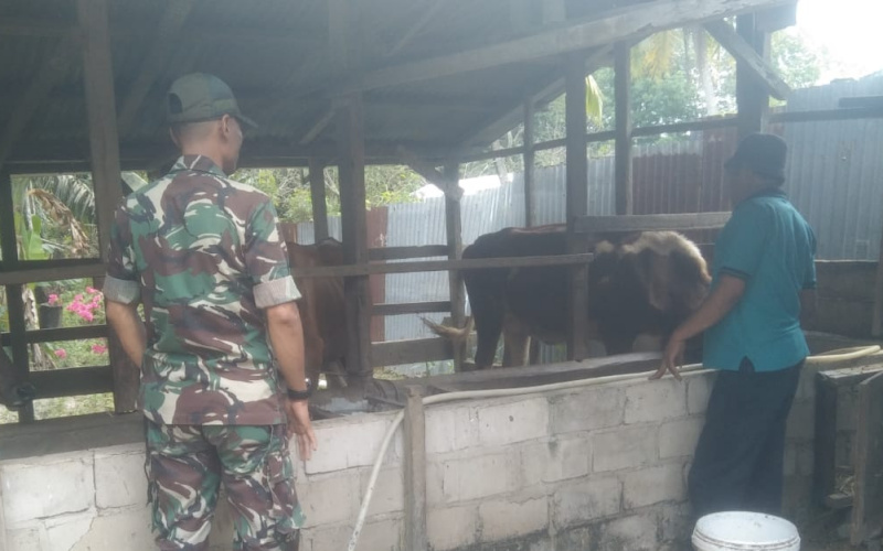 Koramil 03 Berikan Tips untuk Mencegah Penyebaran PMK