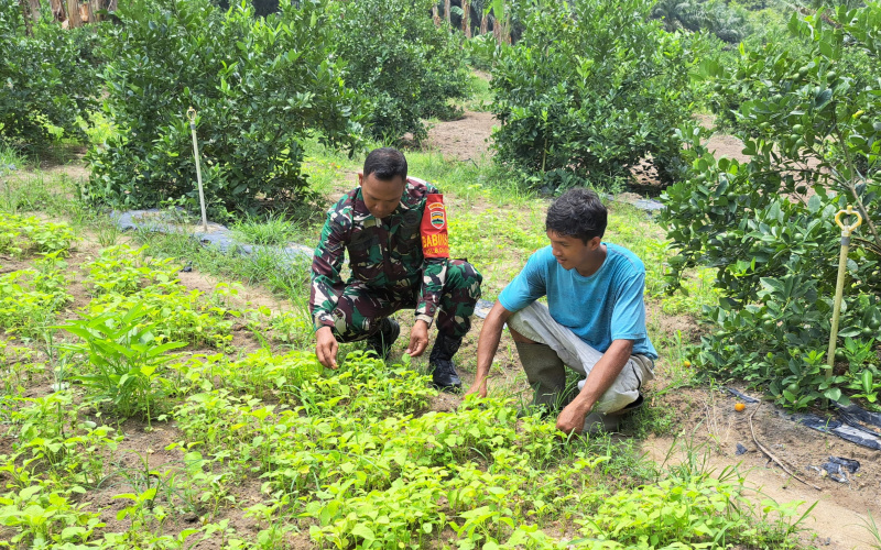 Serda Andri Widodo Paparkan Teknik Penanaman Sayur yang Benar