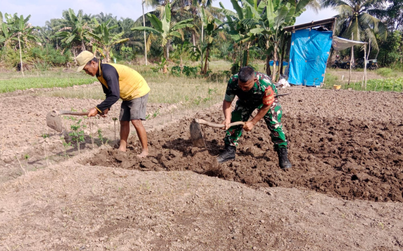 Babinsa Koramil 01 Beri Dukungan di Sektor Pertanian