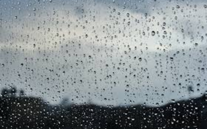 BMKG: Berpotensi Hujan di Sejumlah Wilayah Riau