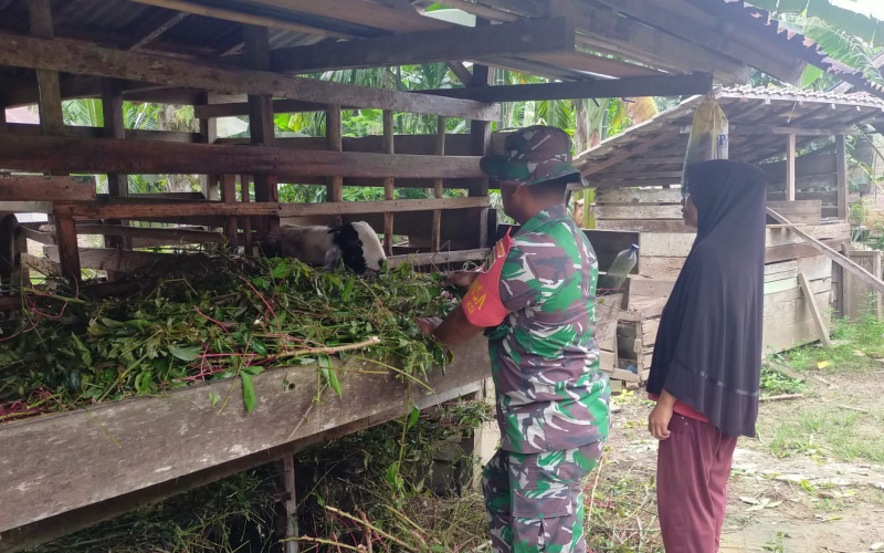 Koramil 03 Peduli Terhadap Kesehatan di Peternakan Warga