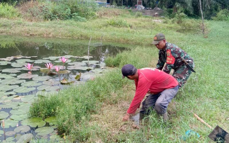 Koramil 01 Dampingi Peternakan Tingkat Hasil Budidaya Ikan Nila