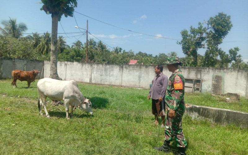 Serda Priyo Sudarmo Rutin Sosialisasi di Peternakan, Berikut Penjelasannya