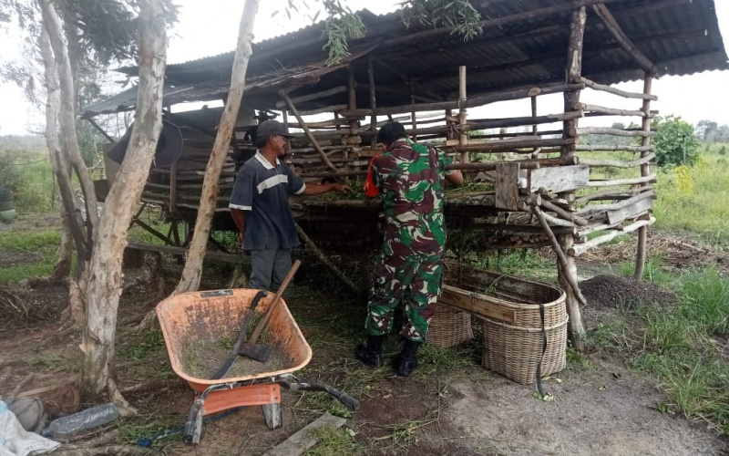 Berikut Pemaparan Serda Marwis Tentang Kesehatan di Peternakan