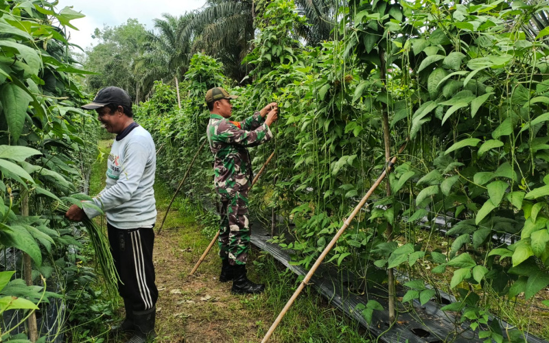 Koramil 02 Bukit Kapur Beri Edukasi Terkait Swasembada Pangan