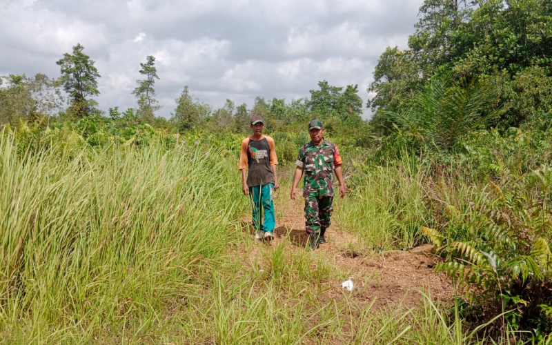 Cegah Kebakaran Hutan, Babinsa Purnama Patroli Pengamanan Wilayah