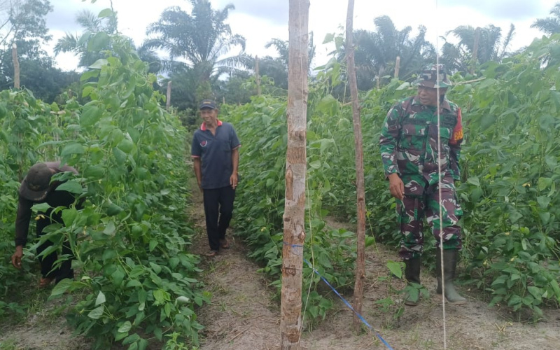 Babinsa Gurun Panjang Aktif Patroli dan Sosialisasi Bahaya Karlahut